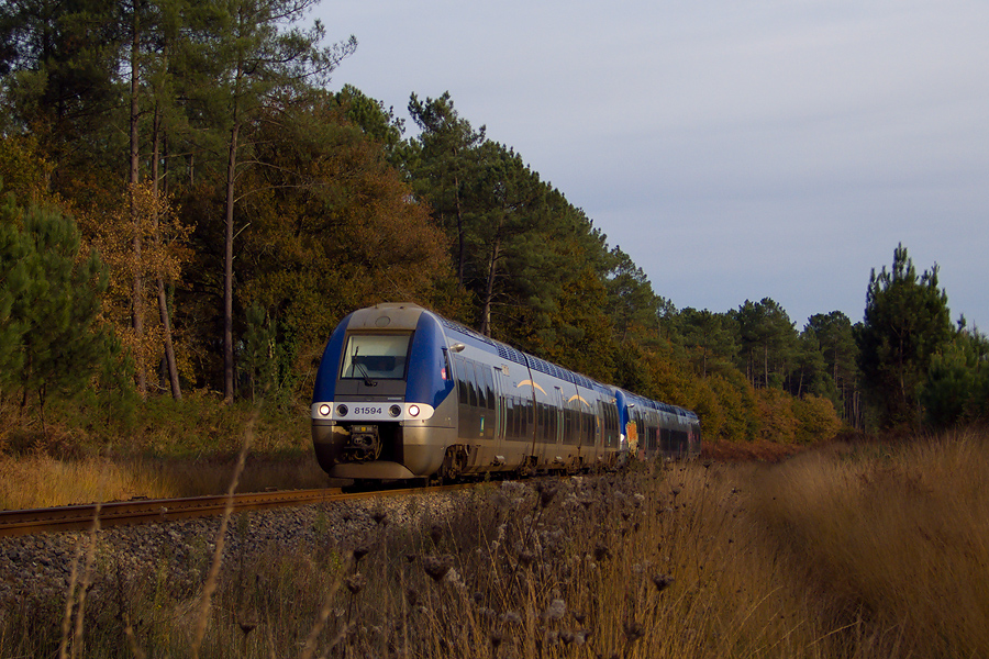 Dans la forêt landaise, voila le B 81593-94 en UM le 09.11.2008.jpg